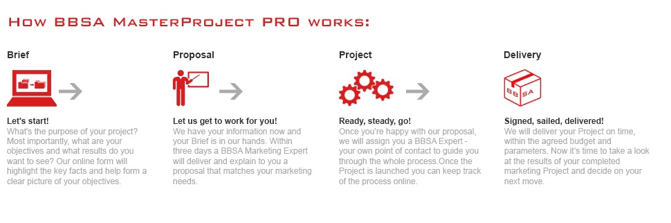 BBSA how the marketing project works